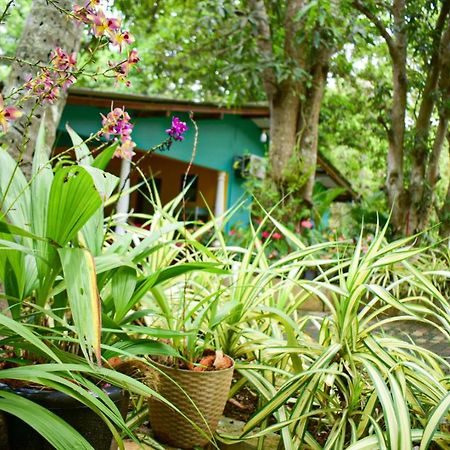 Palitha Homestay Sigirîya Extérieur photo