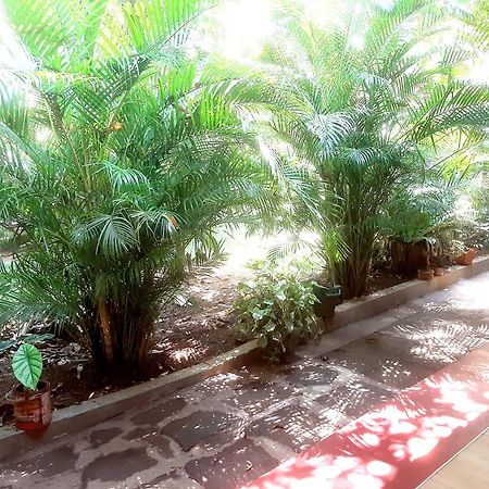 Palitha Homestay Sigirîya Extérieur photo