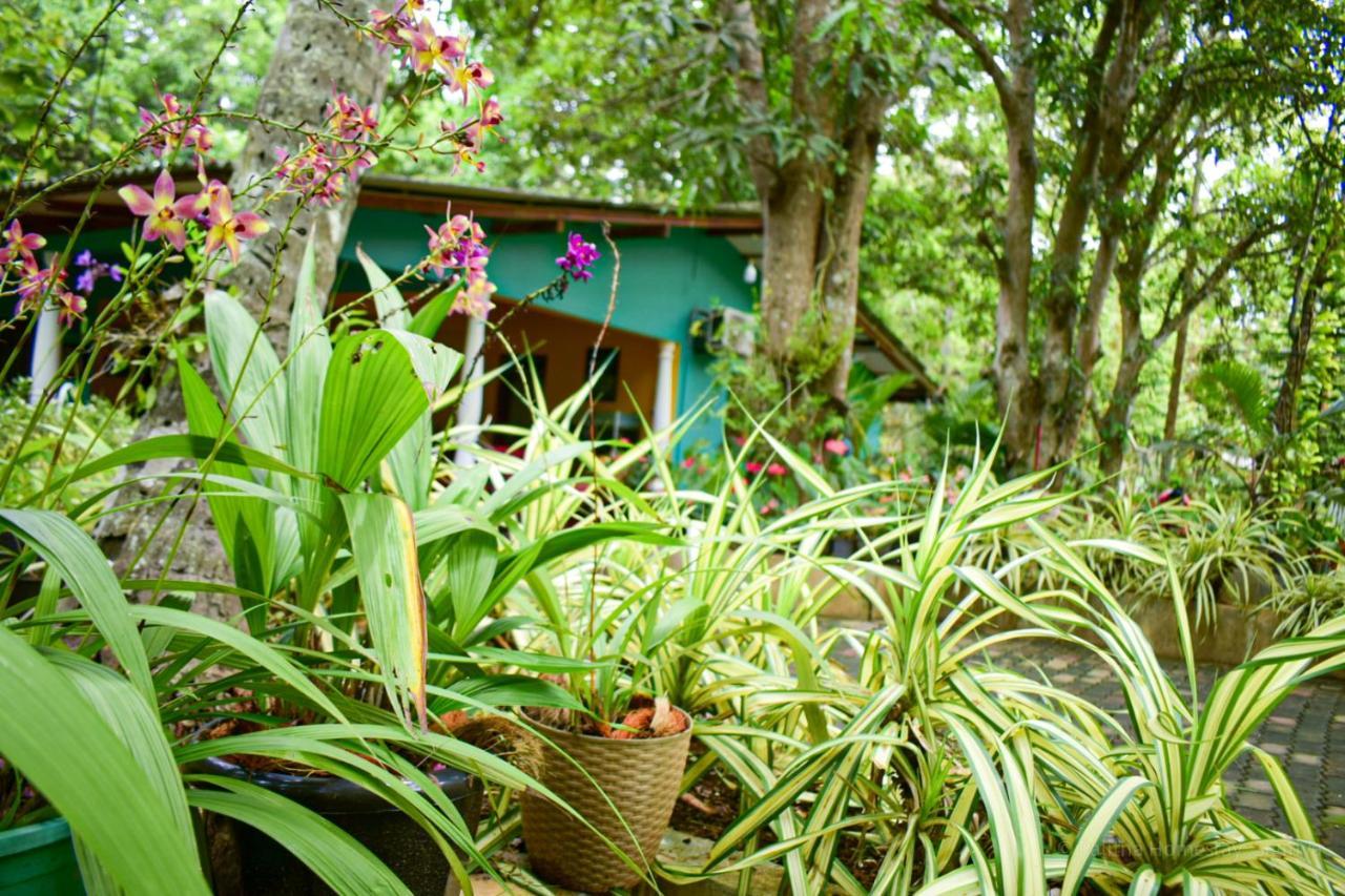 Palitha Homestay Sigirîya Extérieur photo