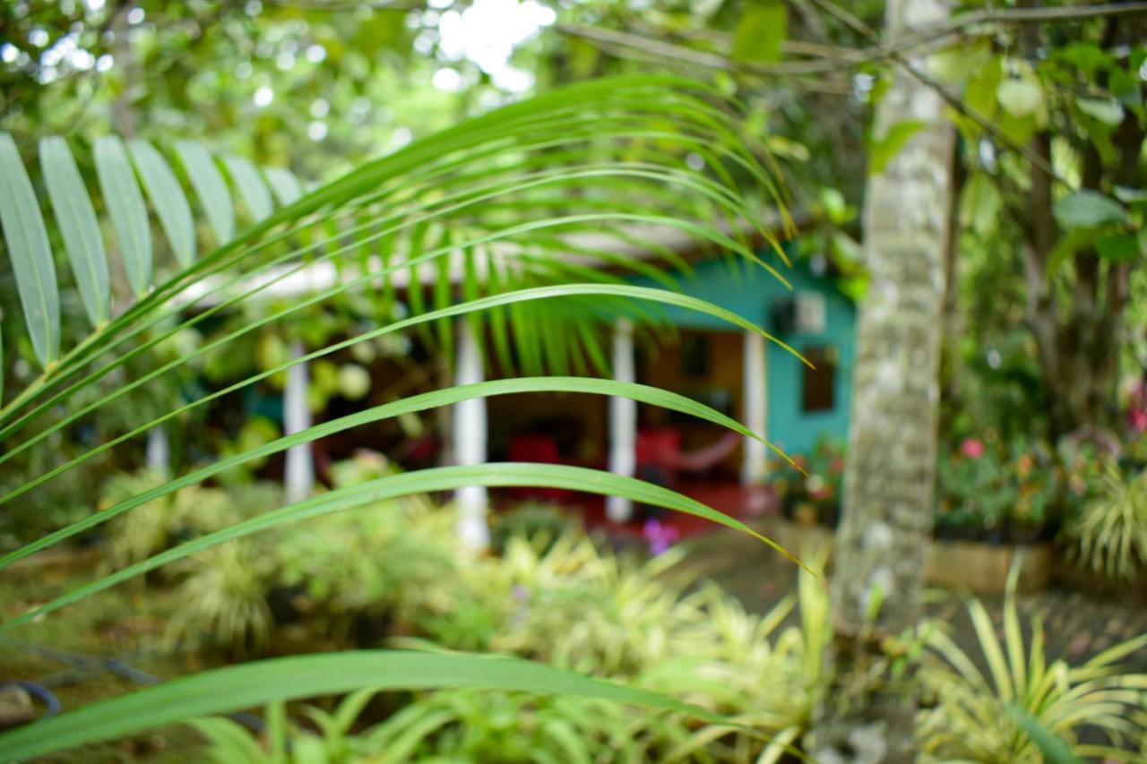 Palitha Homestay Sigirîya Extérieur photo