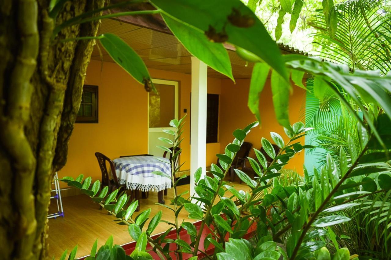 Palitha Homestay Sigirîya Extérieur photo