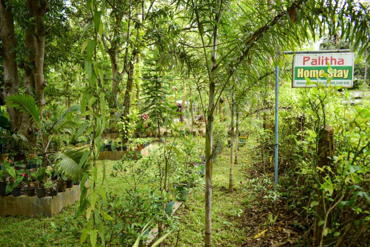 Palitha Homestay Sigirîya Extérieur photo
