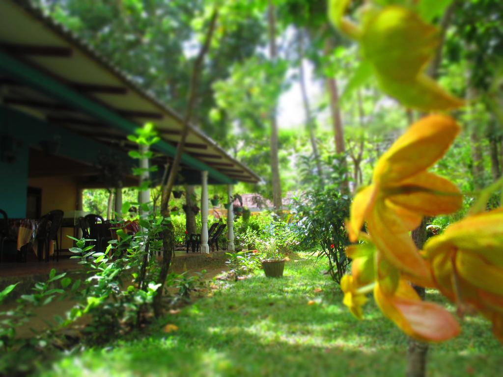 Palitha Homestay Sigirîya Extérieur photo