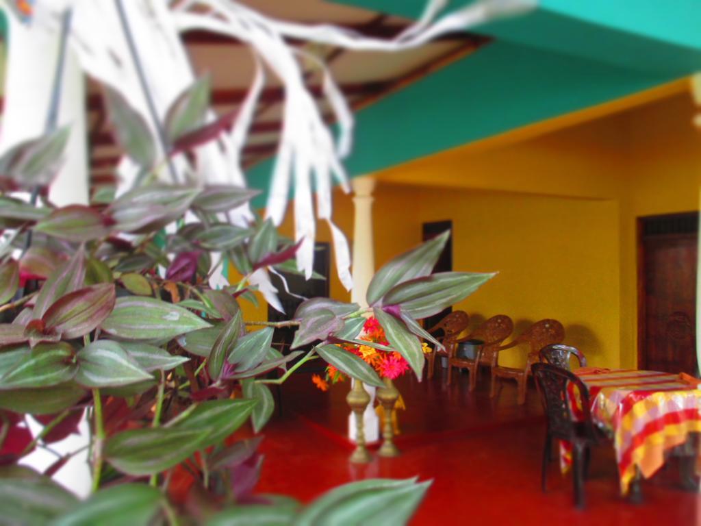 Palitha Homestay Sigirîya Extérieur photo