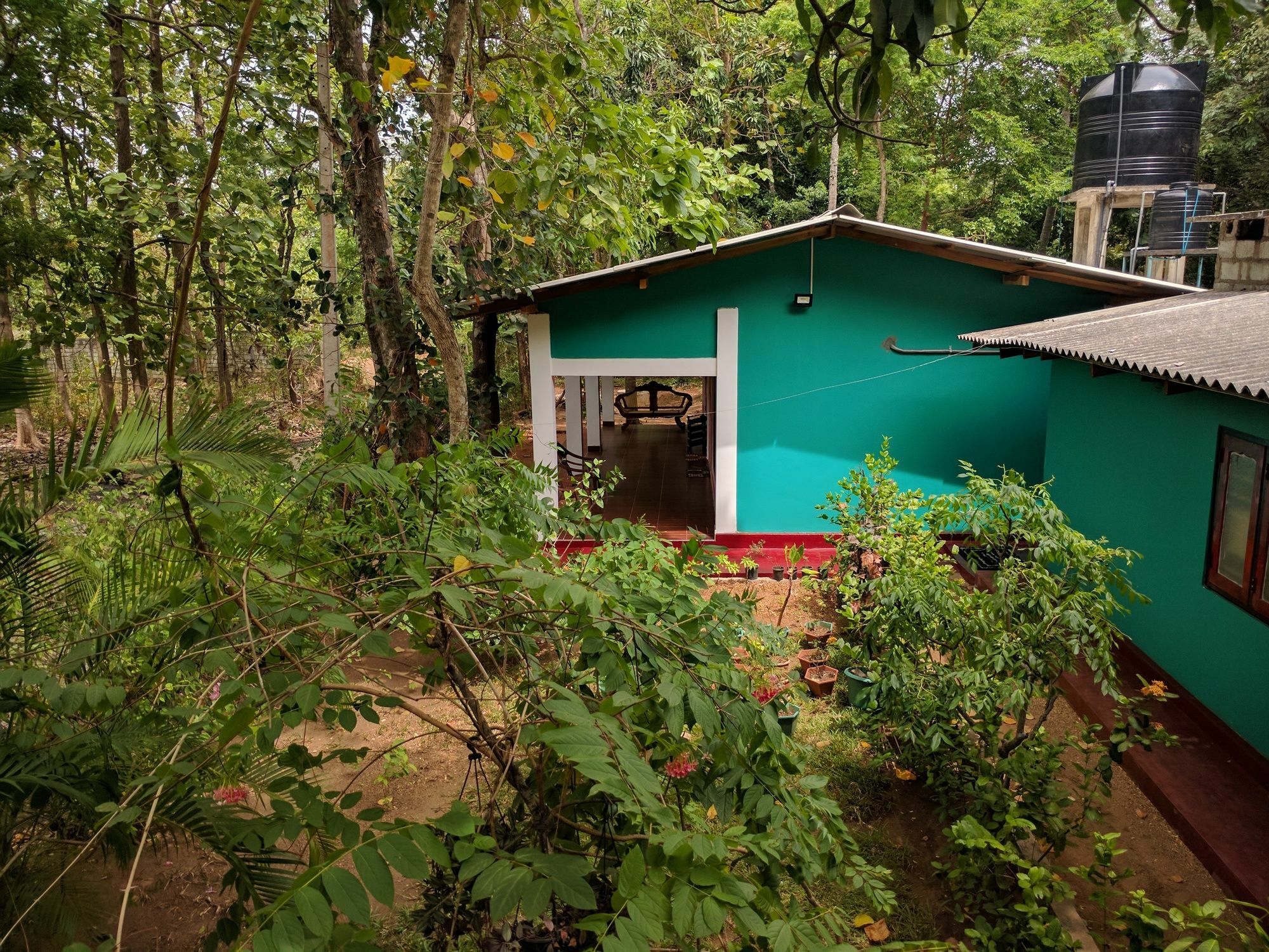 Palitha Homestay Sigirîya Extérieur photo