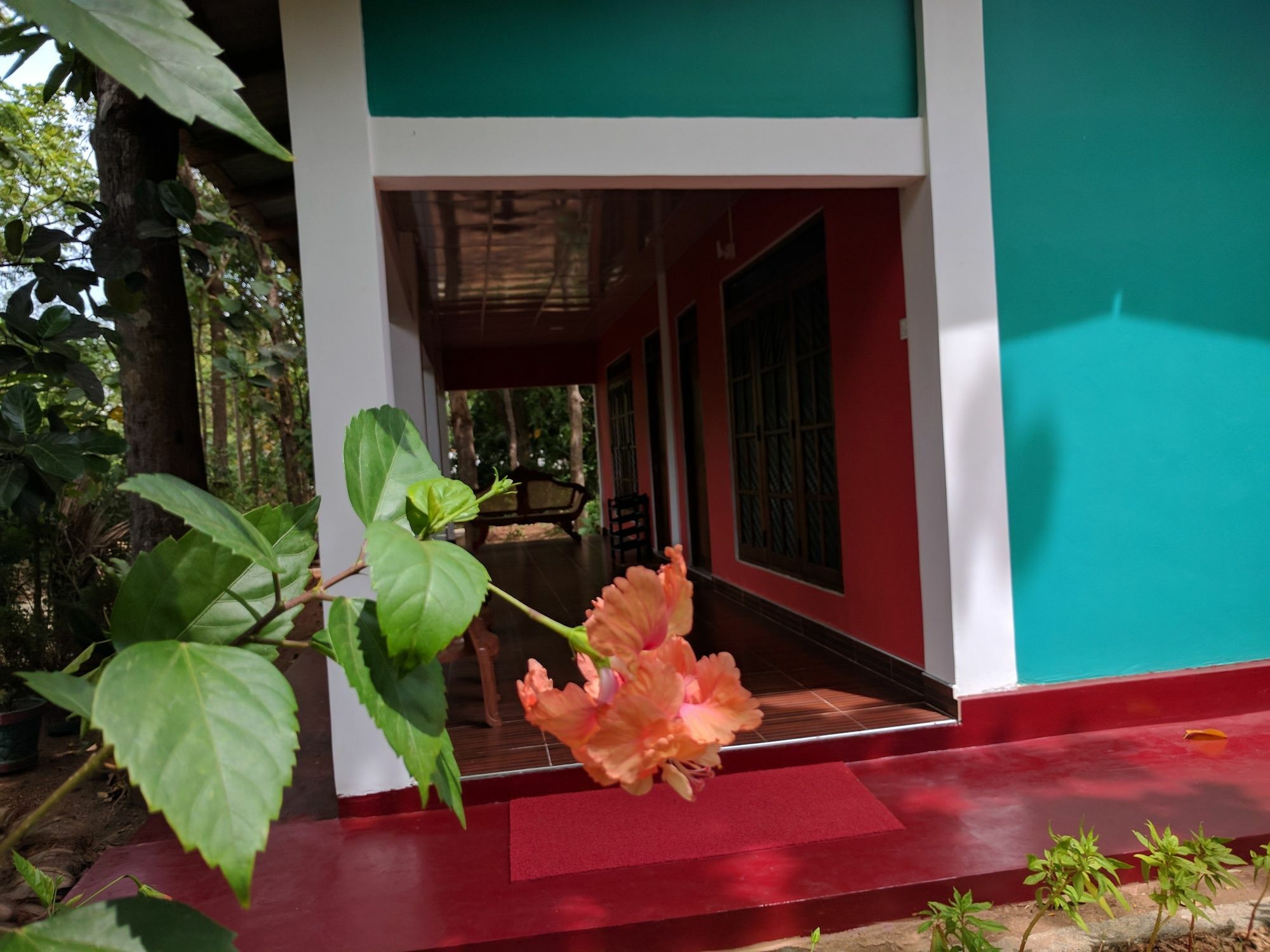 Palitha Homestay Sigirîya Extérieur photo
